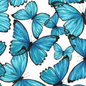 Meet your Posher, Maggie